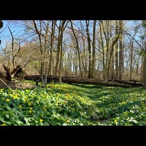 Meet your Posher, Regina